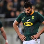Springboks