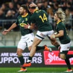 Springboks