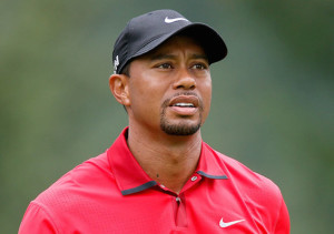 Read more about the article Tiger’s back on the prowl