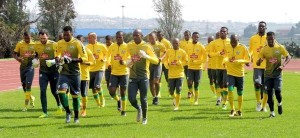 Read more about the article Bafana prepare for Mozambique clash