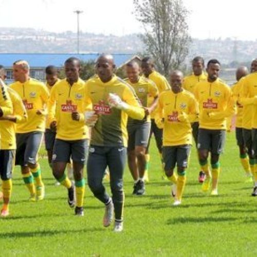 Bafana stalled in latest Fifa rankings