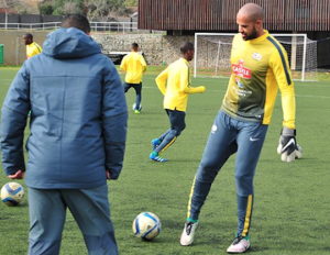 Read more about the article Pieterse relishing Bafana chance