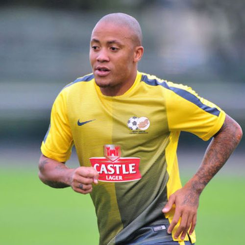 Ndlovu close to Turkey move