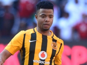 Read more about the article Lebese wary over Acornbush threat