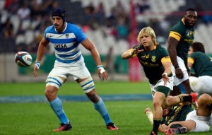 Read more about the article Late surge saved battling Boks