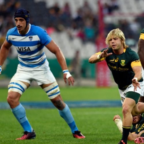 Late surge saved battling Boks