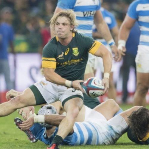 Faf: Boks were resilient