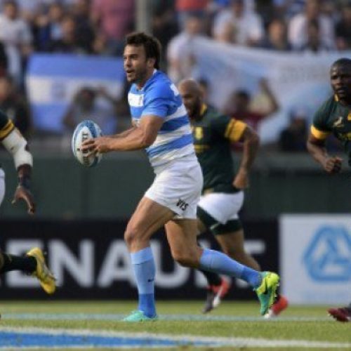 Pumas beat bumbling Boks