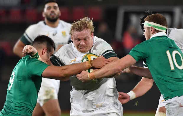 You are currently viewing Bok shock as Strauss quits