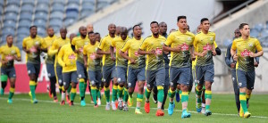 Read more about the article Bafana stalled in Fifa rankings