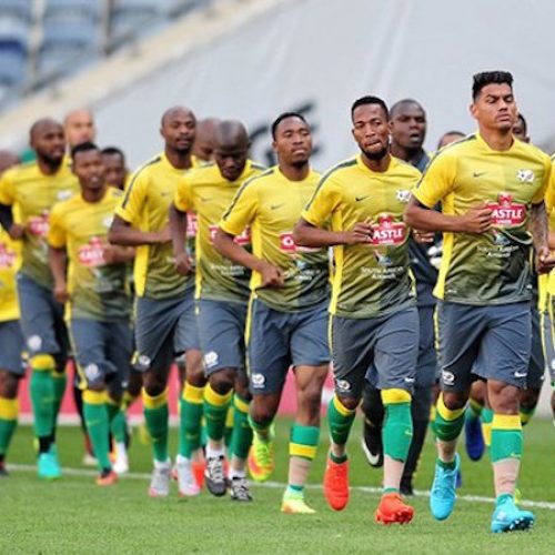 Bafana stalled in Fifa rankings
