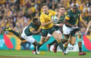 Read more about the article Wallabies snap losing run against Boks