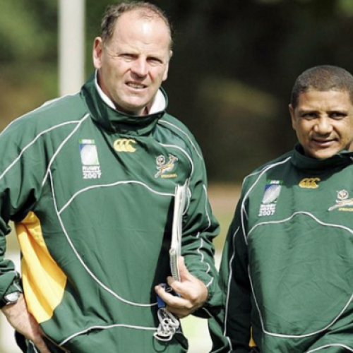 White can make Boks winners again