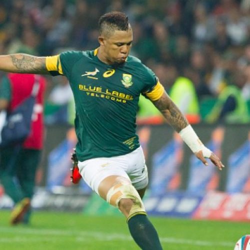 Jantjies, Hougie train with Boks