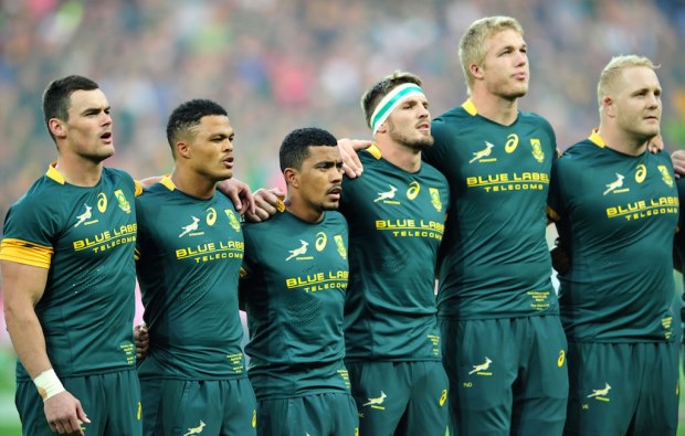 You are currently viewing New Bok midfield to front Wallabies