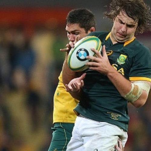 Boks wary of wounded Wallabies