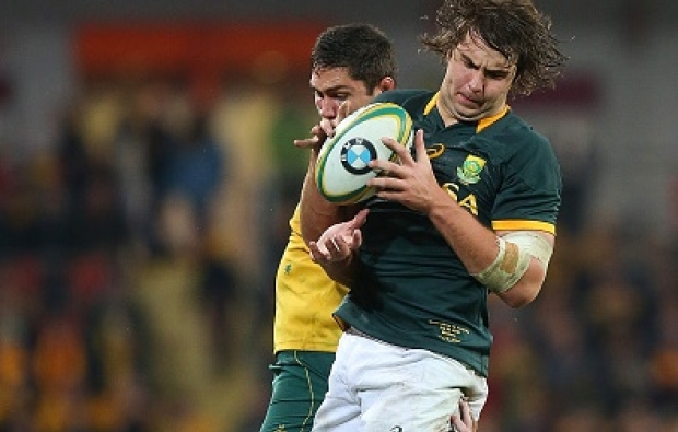 You are currently viewing Boks wary of wounded Wallabies