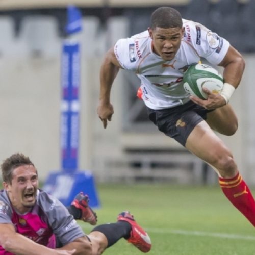 Cheetahs seal top spot