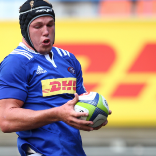 Du Toit stands tall at WP awards night