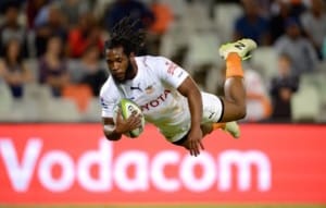 Read more about the article Seargal shines as Cheetahs win semi