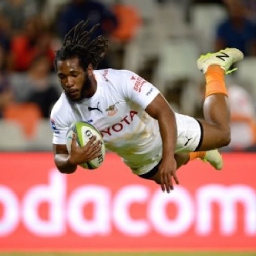 Seargal shines as Cheetahs win semi