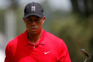 Read more about the article Tiger is hungry again