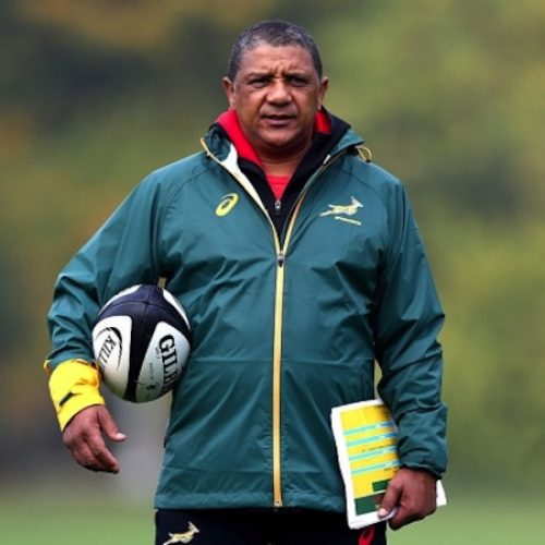 Coach Coetzee: Boks will never lose aura