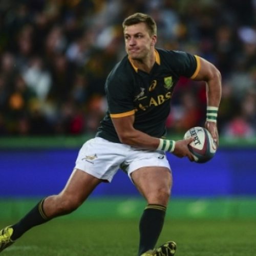 Who are the players who can take the Boks forward?