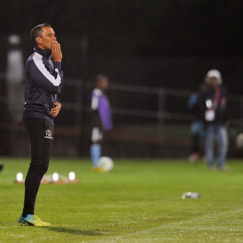 Davids not thinking about Caf possibilities