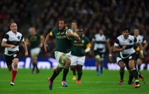 Read more about the article Boks wary of different breakdown threat from Italy