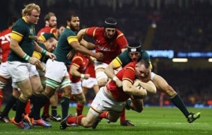 Read more about the article Springboks’ ‘annus horribilis’ ends with defeat to Wales