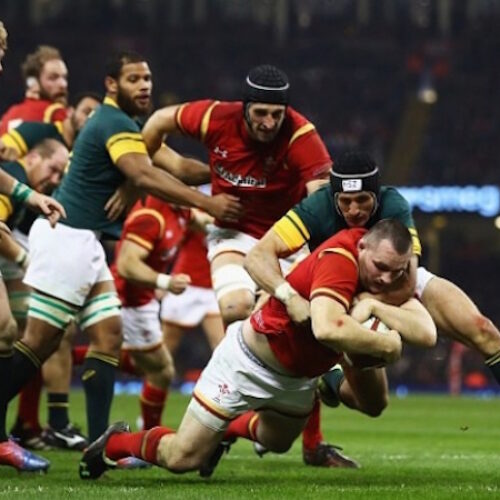 Springboks’ ‘annus horribilis’ ends with defeat to Wales