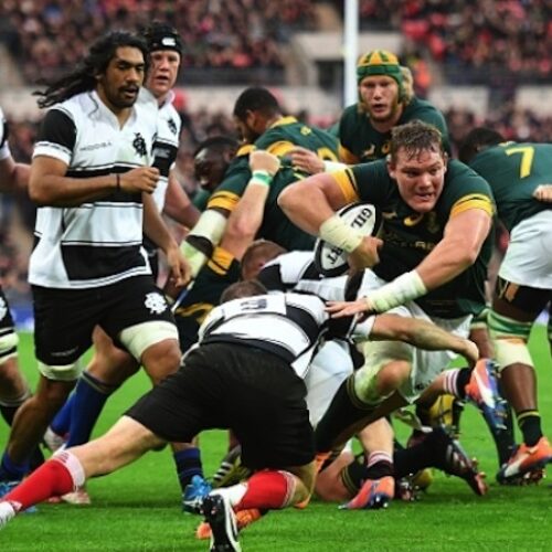 Springboks lose another loose forward to injury
