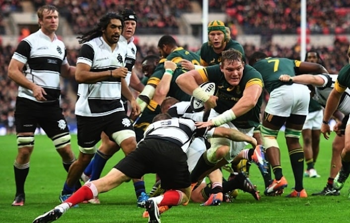 You are currently viewing Springboks lose another loose forward to injury