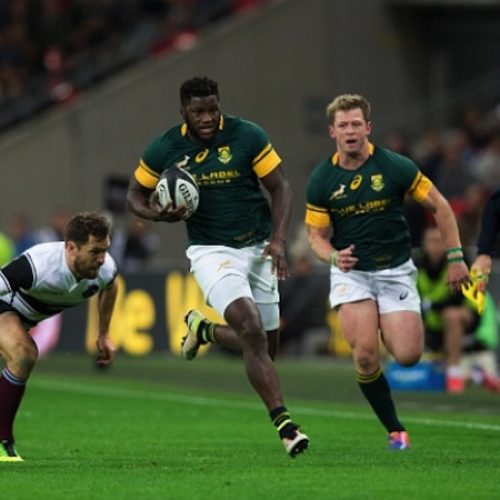 Three debutants named in Boks side to take on Wales