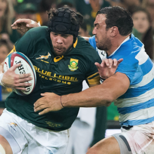 Whiteley could fulfil Bok captaincy role – Gary Gold