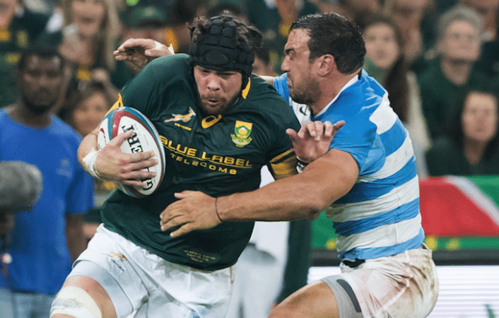 You are currently viewing Whiteley could fulfil Bok captaincy role – Gary Gold