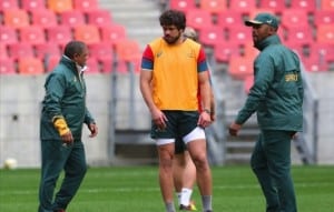 Read more about the article Coetzee’s Bok coaching structures set for shake-up