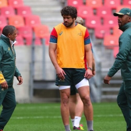 Coetzee’s Bok coaching structures set for shake-up