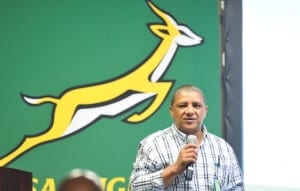 Read more about the article Clarity expected on Bok coach