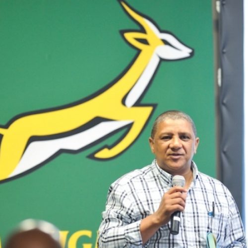 Clarity expected on Bok coach