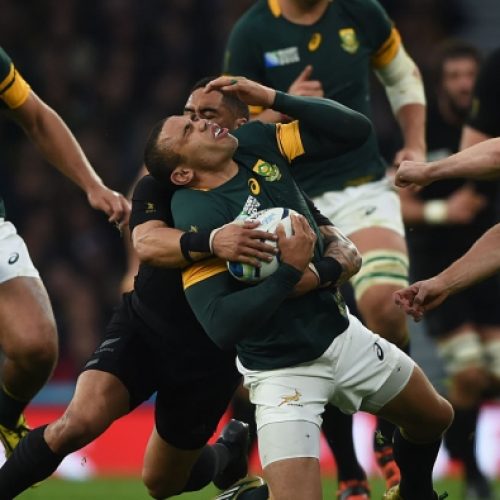 Bank on Boks to hang in