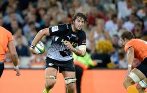 Read more about the article Five smart signings for the 2017 Super Rugby season