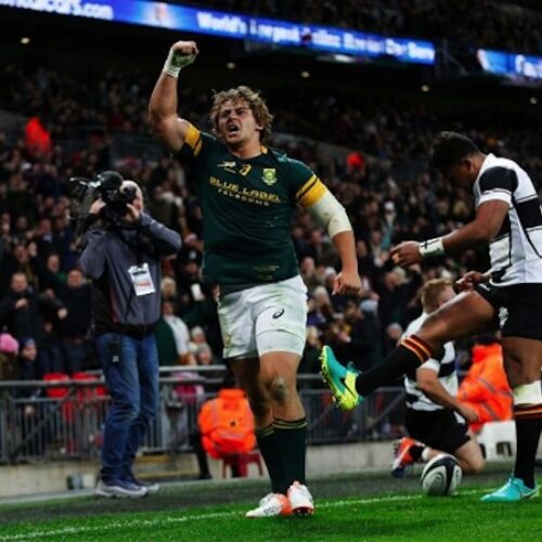 Five rising stars who could help Springboks shine again