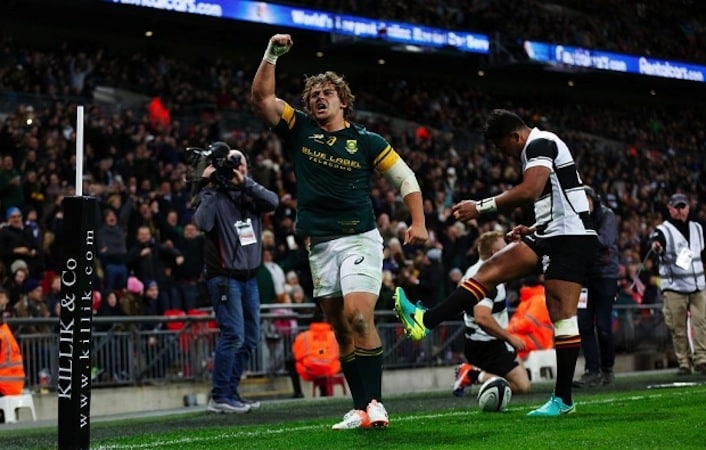 You are currently viewing Five rising stars who could help Springboks shine again