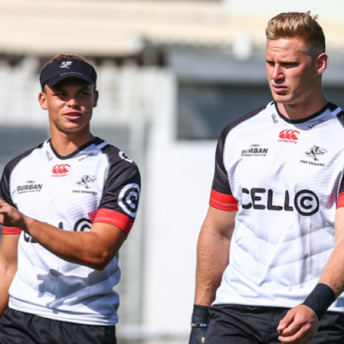 Super Rugby preview: Sharks