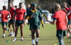Read more about the article Backline coach to leave Boks