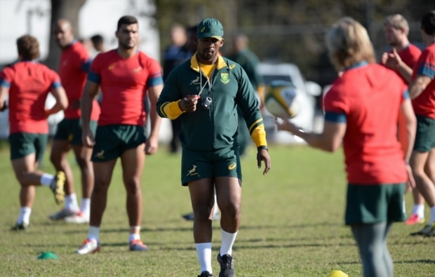 You are currently viewing Backline coach to leave Boks
