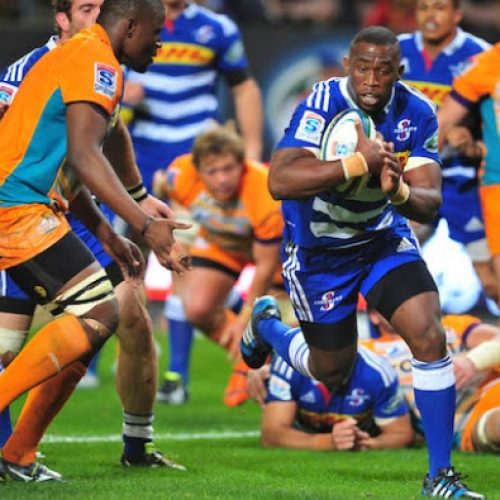 Kolisi appointed Stormers captain