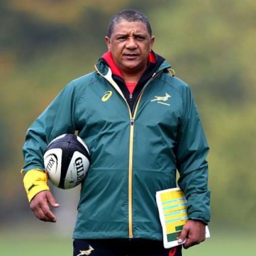 Coetzee: First Bok training camp a big success